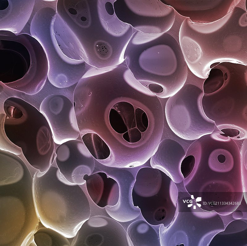 TEMPUR记忆棉，扫描电镜图片素材