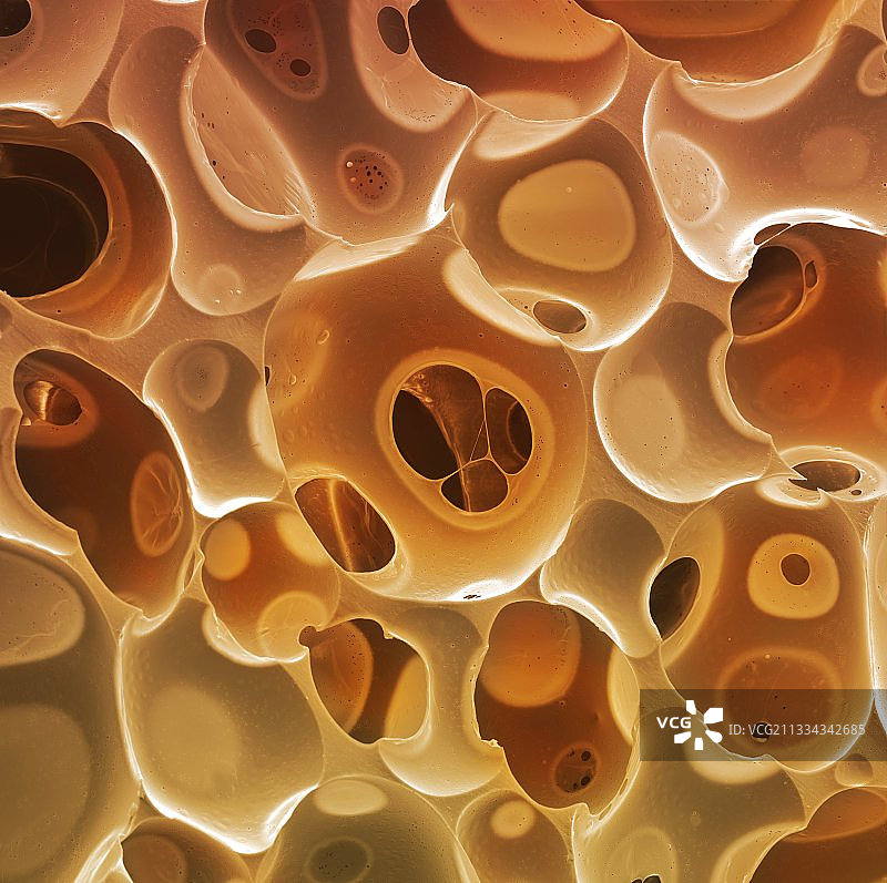 TEMPUR记忆棉，扫描电镜图片素材