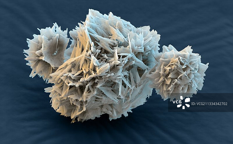 聚维酮吡咯烷酮扫描电镜图图片素材