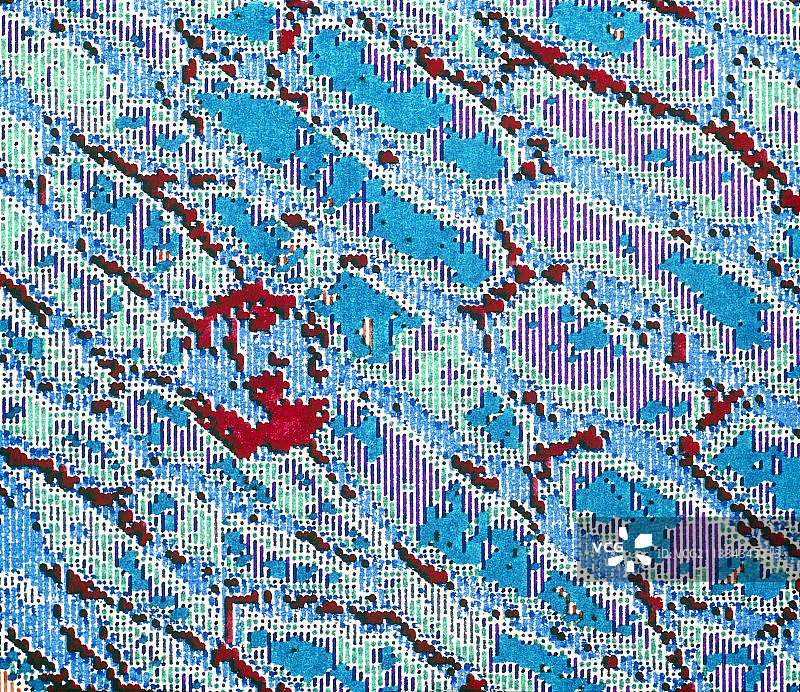 洋葱细胞的声学显微照片图片素材