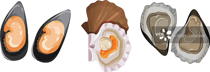 牡蛎和双壳软体动物图片素材