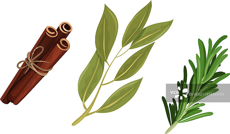肉桂棒和迷迭香枝图片素材