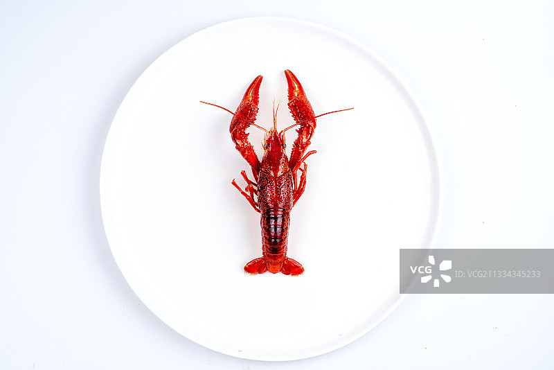 一只小龙虾图片素材