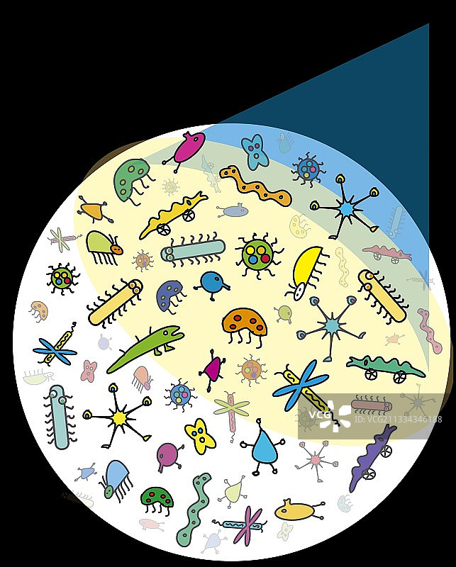 微生物图片素材