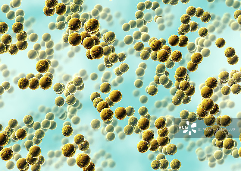 球状细菌图片素材