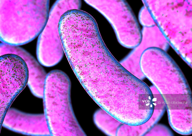 肉毒梭菌图片素材
