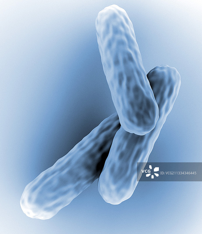 结核杆菌图片素材