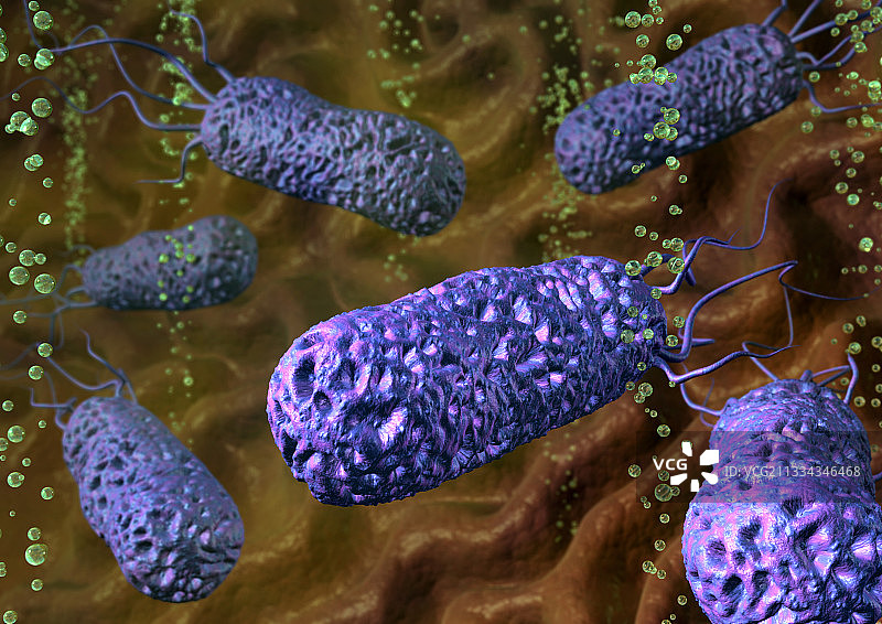 幽门螺杆菌细菌图片素材
