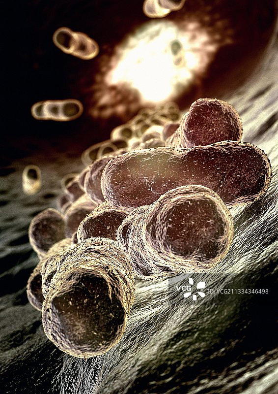 细菌电脑艺术品图片素材