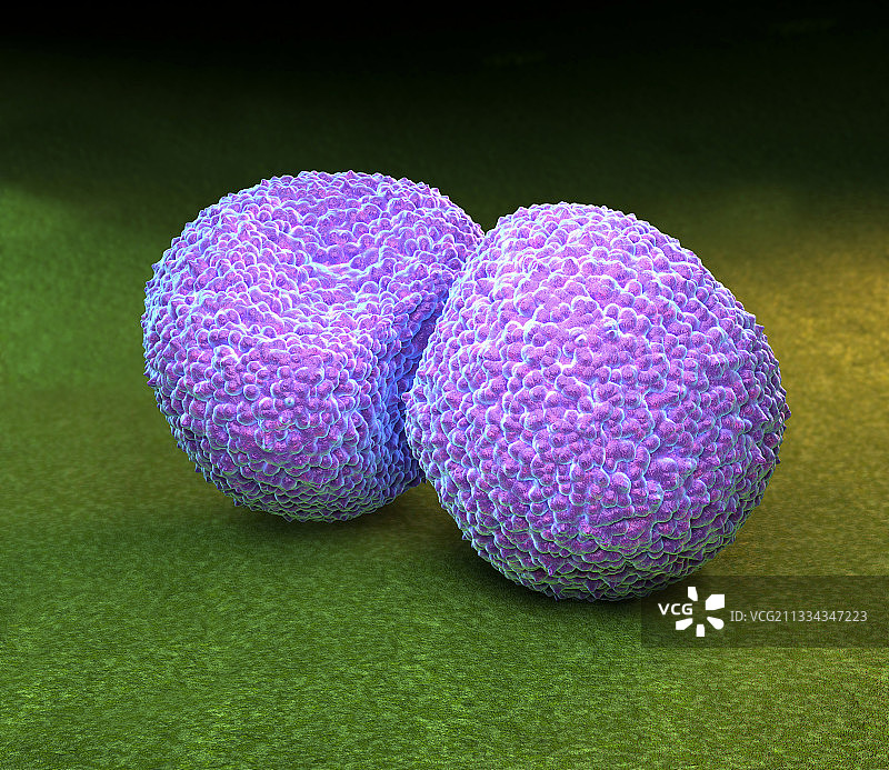 肺炎链球菌图片素材