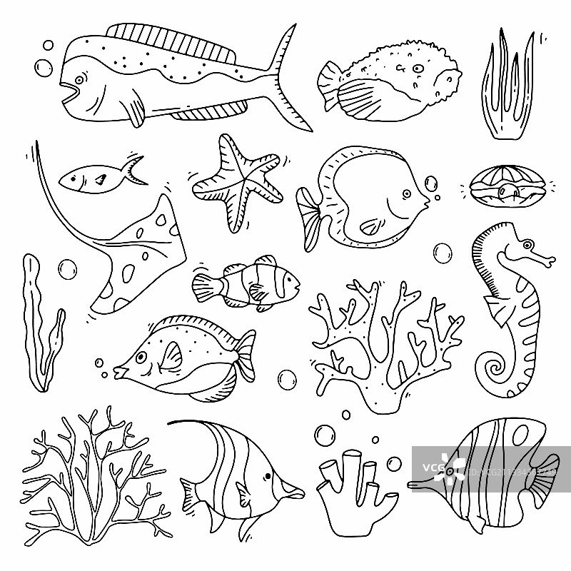 海洋生物涂鸦：鱼和珊瑚合集图片素材