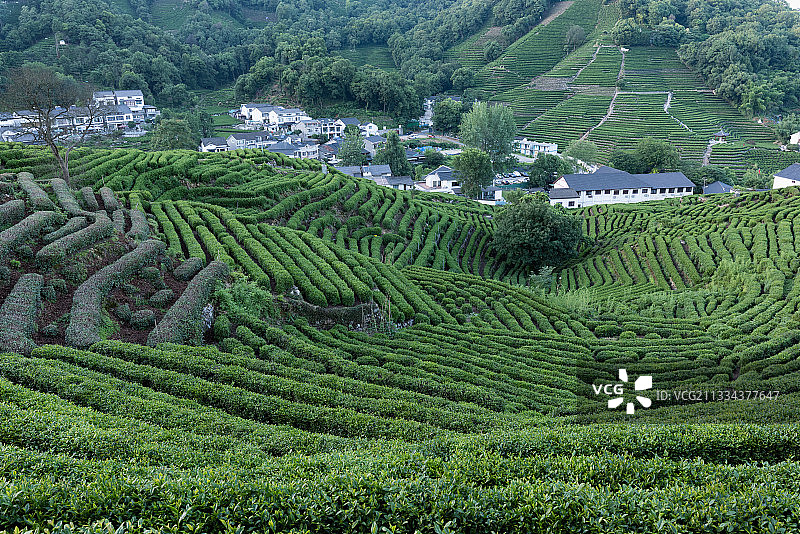 浙江杭州西湖图片素材