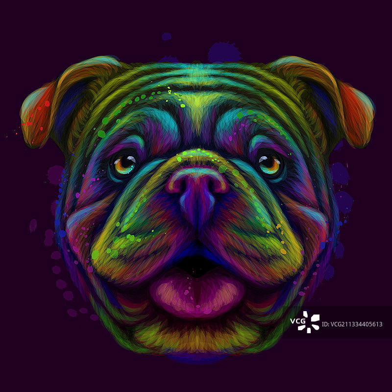 斗牛犬抽象霓虹灯肖像图片素材