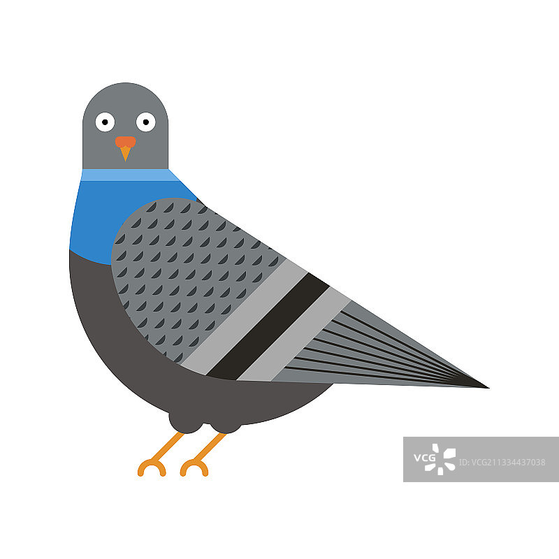 扁平风格的城市鸽子几何图标图片素材