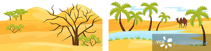 有绿洲和棕榈树的沙漠景观图片素材