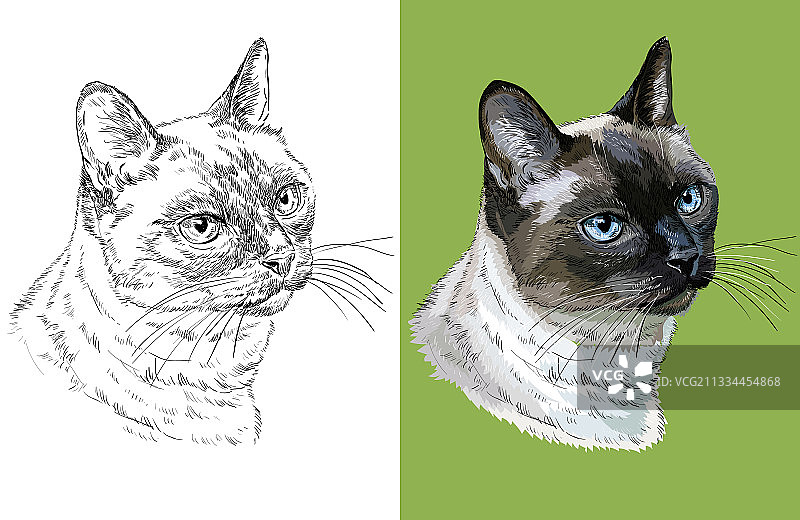 泰国猫人像图片素材