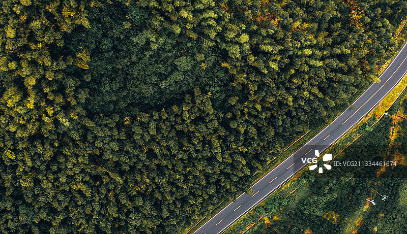 竹海之径 浙江衢州图片素材