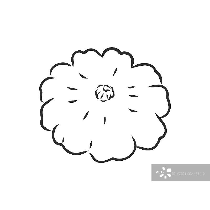 手绘涂鸦素描 isolated图片素材