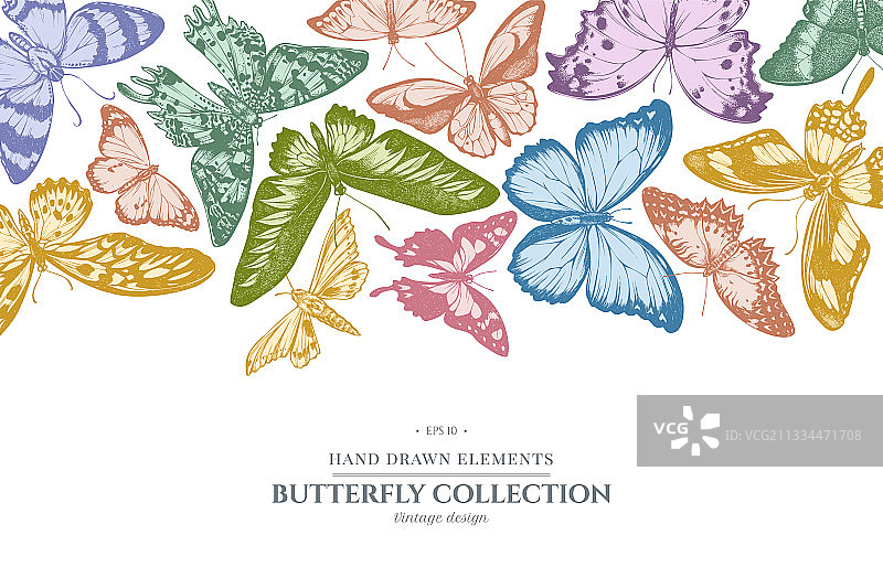 粉彩色燕蛾设计图片素材