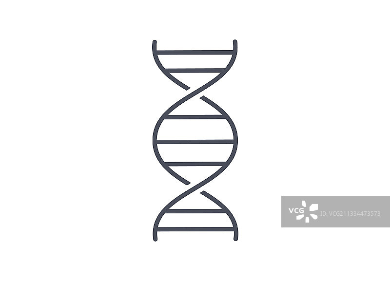 DNA螺旋分子简笔线条画图片素材