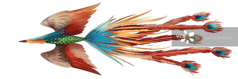 中国风凤凰插画元素图片素材