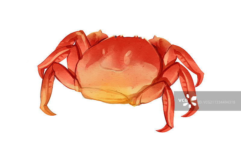 中国风水彩螃蟹插画元素图片素材