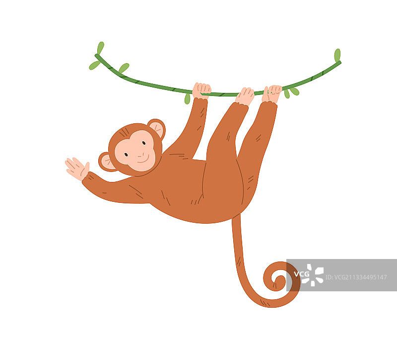 可爱的卡通猴子挂在树枝上摇摆图片素材