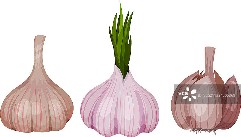 用作香料的蒜头和蒜瓣图片素材