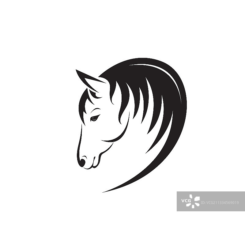 白色背景上的马头设计图片素材