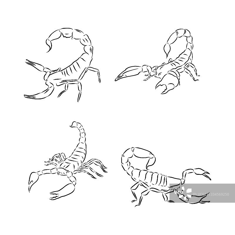 白色背景上分离的图形蝎子图片素材