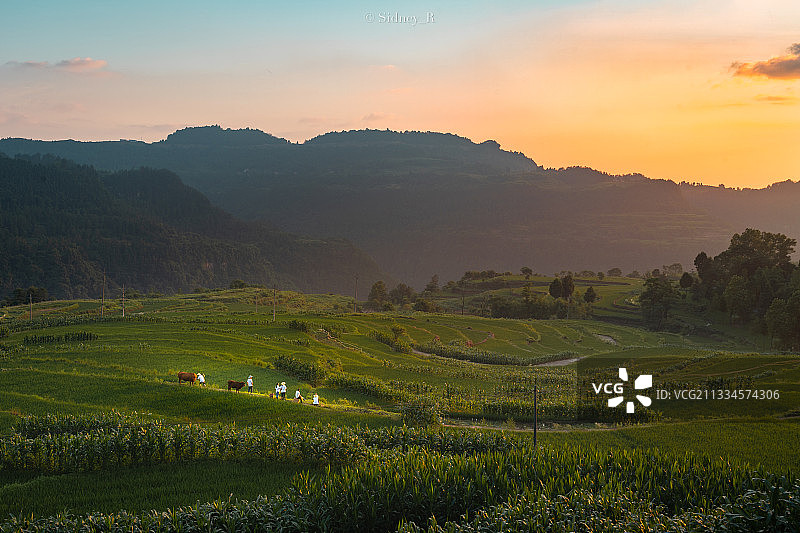 晚霞中的田园牧歌 诗人心中的田居生活图片素材