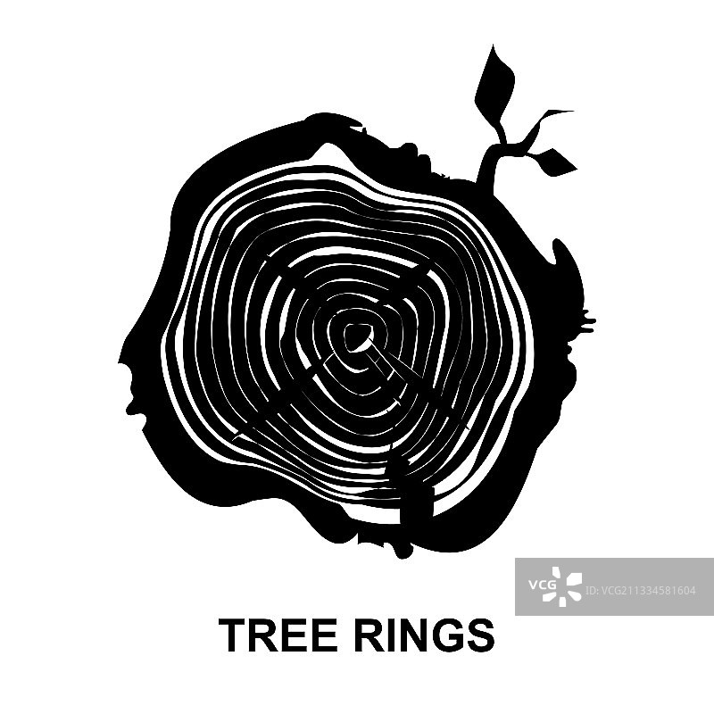 树干切片或木材横截面合集图片素材