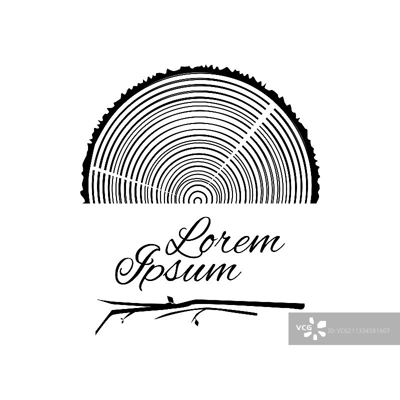 树干切片或木材横截面合集图片素材