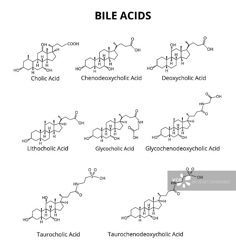 胆汁酸化学分子式图片素材
