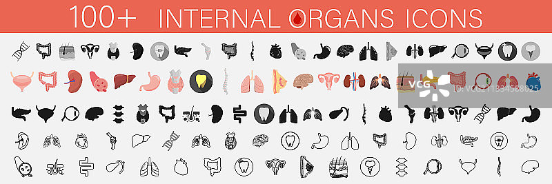 人体内脏器官图标集图片素材