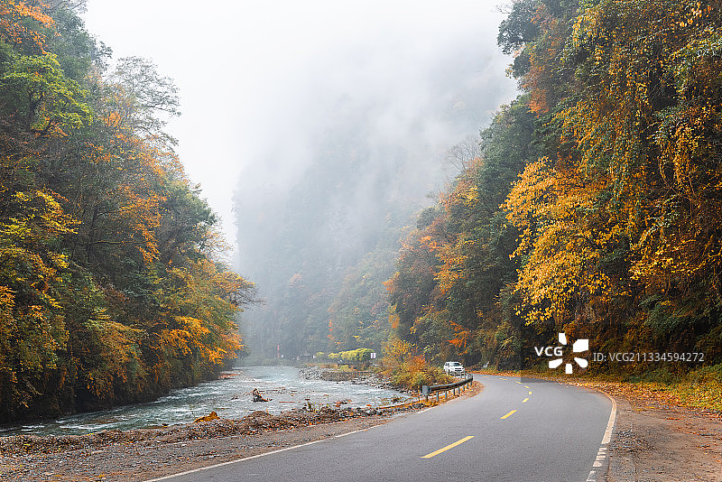 四川省雅安市天全县喇叭河 秋色图片素材