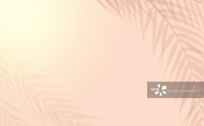 自然阴影叠加热带叶子图片素材