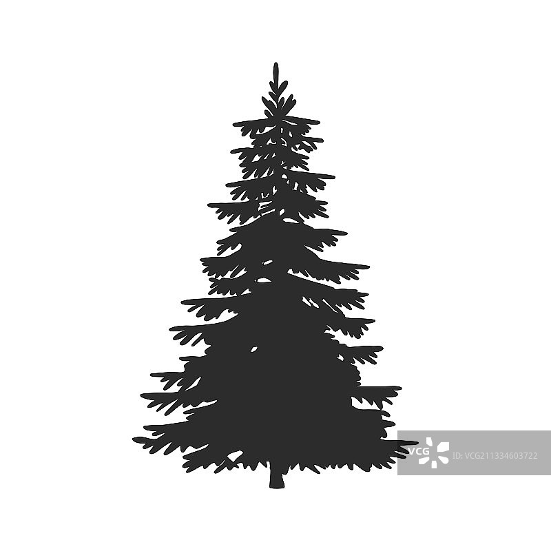 圣诞树冷杉树黑色剪影（已隔离）图片素材