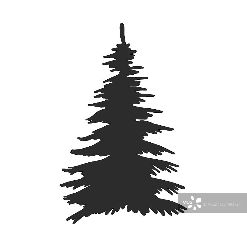 圣诞树冷杉树黑色剪影（已隔离）图片素材