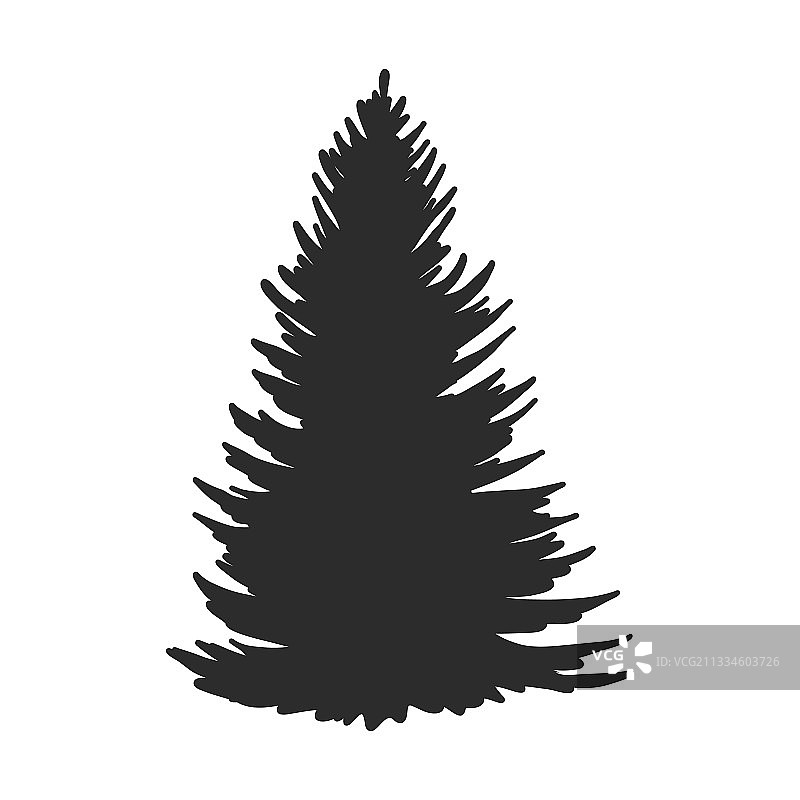 圣诞树冷杉树黑色剪影（已隔离）图片素材
