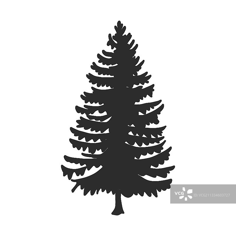 圣诞树冷杉树黑色剪影（已隔离）图片素材