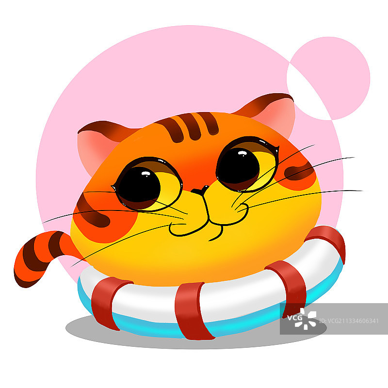 【愤怒的小猫】夏季加菲猫图片素材