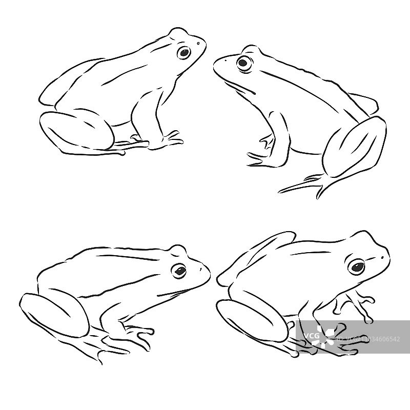 白色背景的青蛙轮廓绘画图片素材