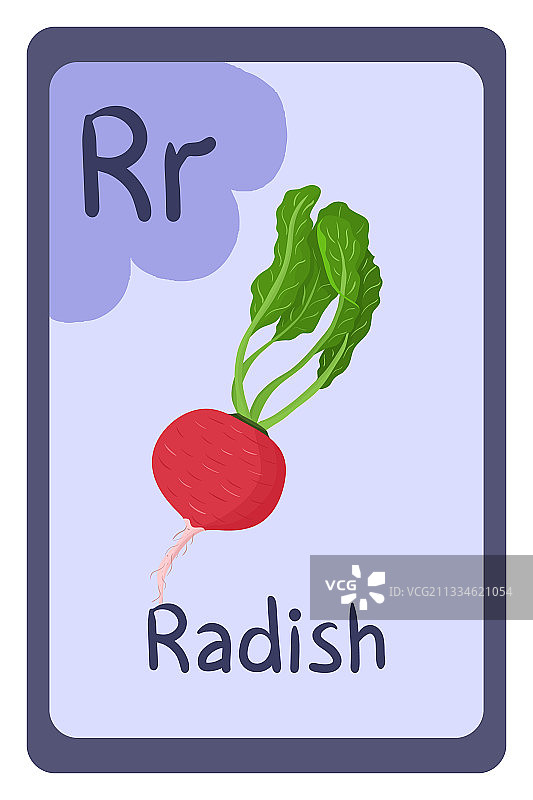 彩色ABC教育闪卡字母R图片素材