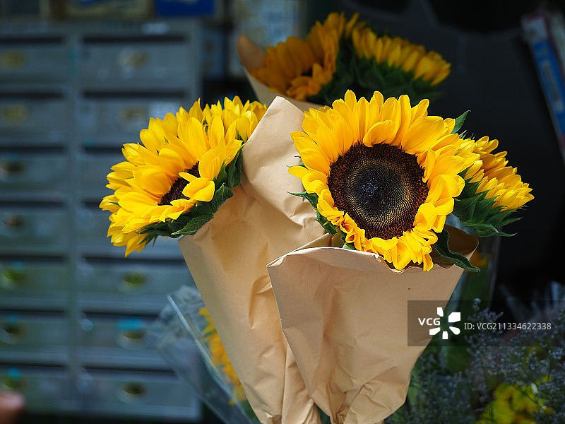 夏日阳光图片素材