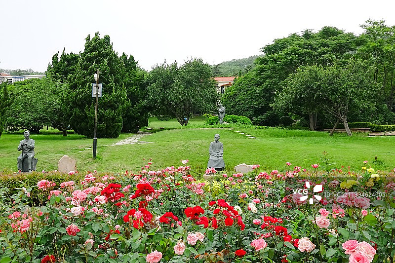 青岛百花苑（文化名人雕塑园）图片素材