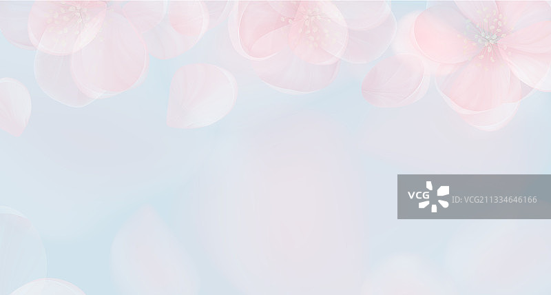 樱花花瓣粉色春天背景图片素材