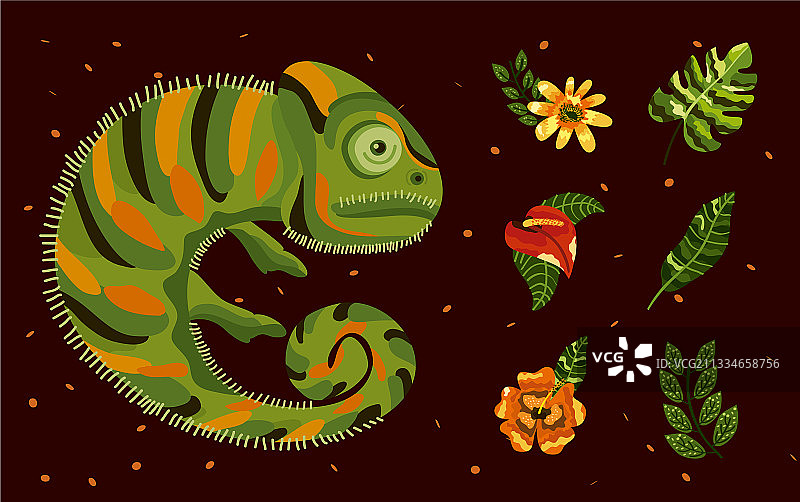 花卉和变色龙图片素材