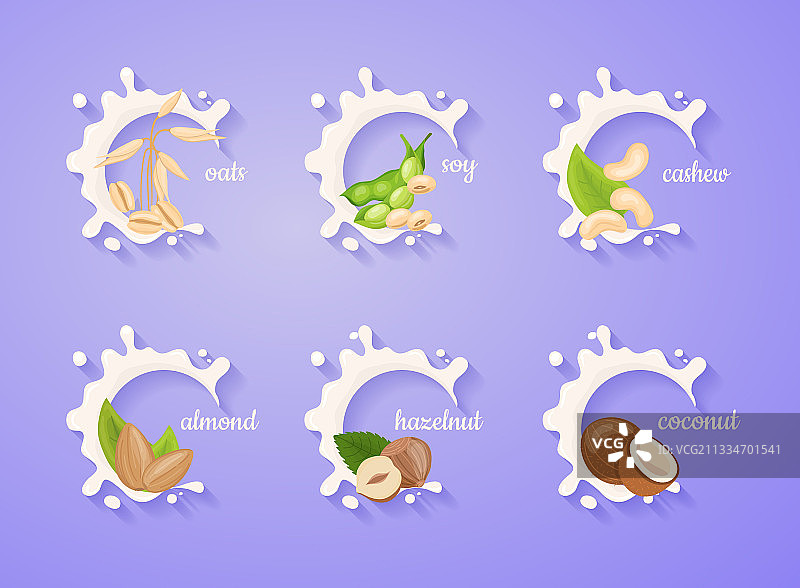 不同种类的植物奶坚果合集图片素材