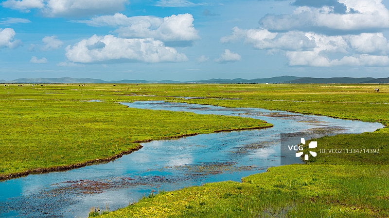 中国四川阿坝州红原县草原风光图片素材